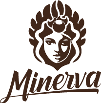 minerva